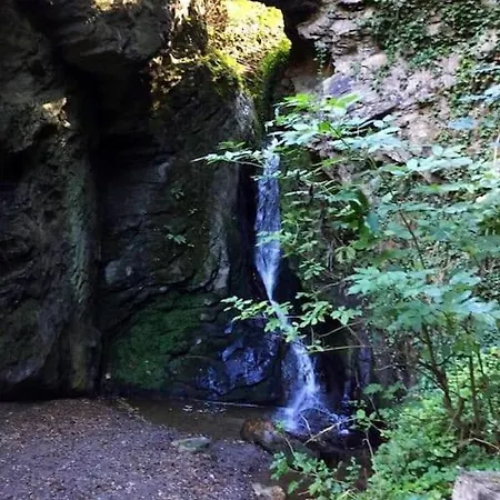 Wohnen Direkt An Mosel Und Goldbach *