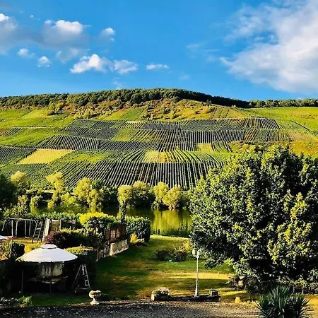Wohnen Direkt An Mosel Und Goldbach *