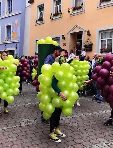 Apartamento Wohnen Direkt An Mosel Und Goldbach