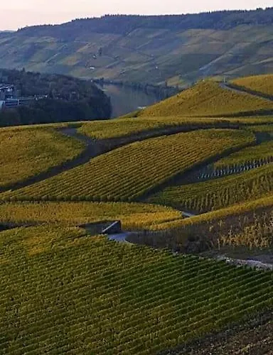 Wohnen Direkt An Mosel Und Goldbach Bernkastel-Kues