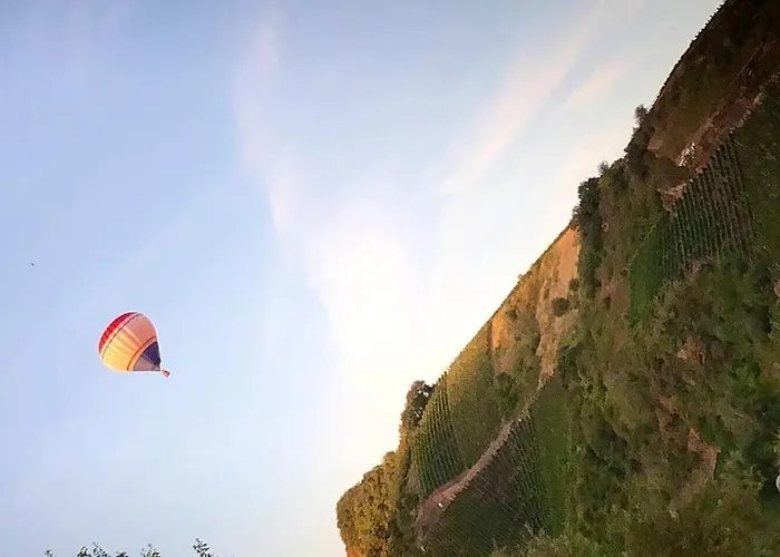 Apartamento Wohnen Direkt An Mosel Und Goldbach *