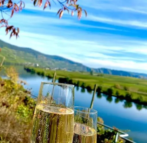 Apartamento Wohnen Direkt An Mosel Und Goldbach