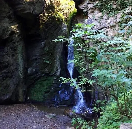 Wohnen Direkt An Mosel Und Goldbach *