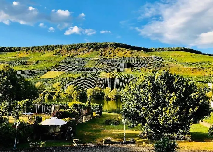 Wohnen Direkt An Mosel Und Goldbach *