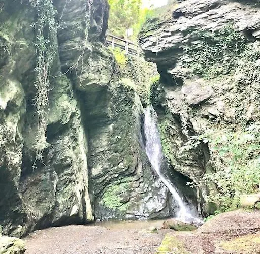 Wohnen Direkt An Mosel Und Goldbach Bernkastel-Kues